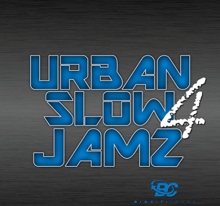 Big Citi Loops Urban Slow Jamz 4 WAV